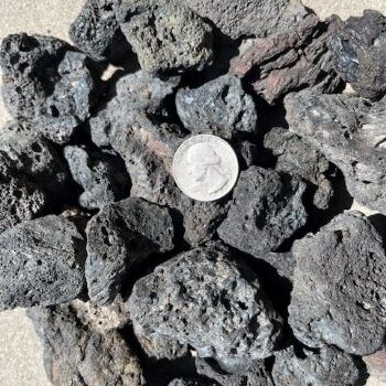 1.5 inch Black Lava - Sunny with a quarter for size