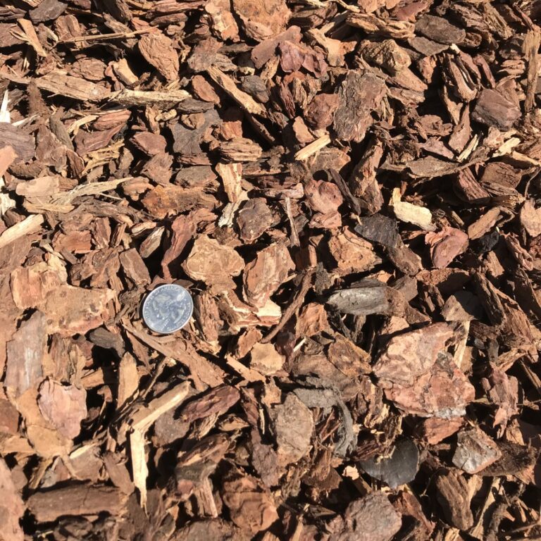 small chunk bark image with quarter for size reference.