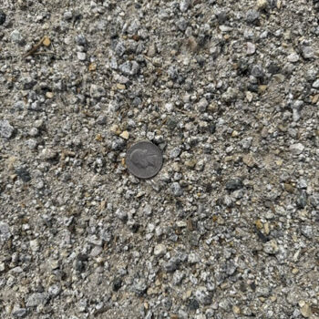 Close-up of light gray decomposed granite with charcoal and tan flecks and a quarter for scale