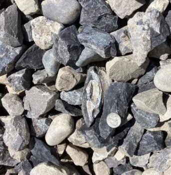2-3 inch dry creek gravel image with quarter for size reference