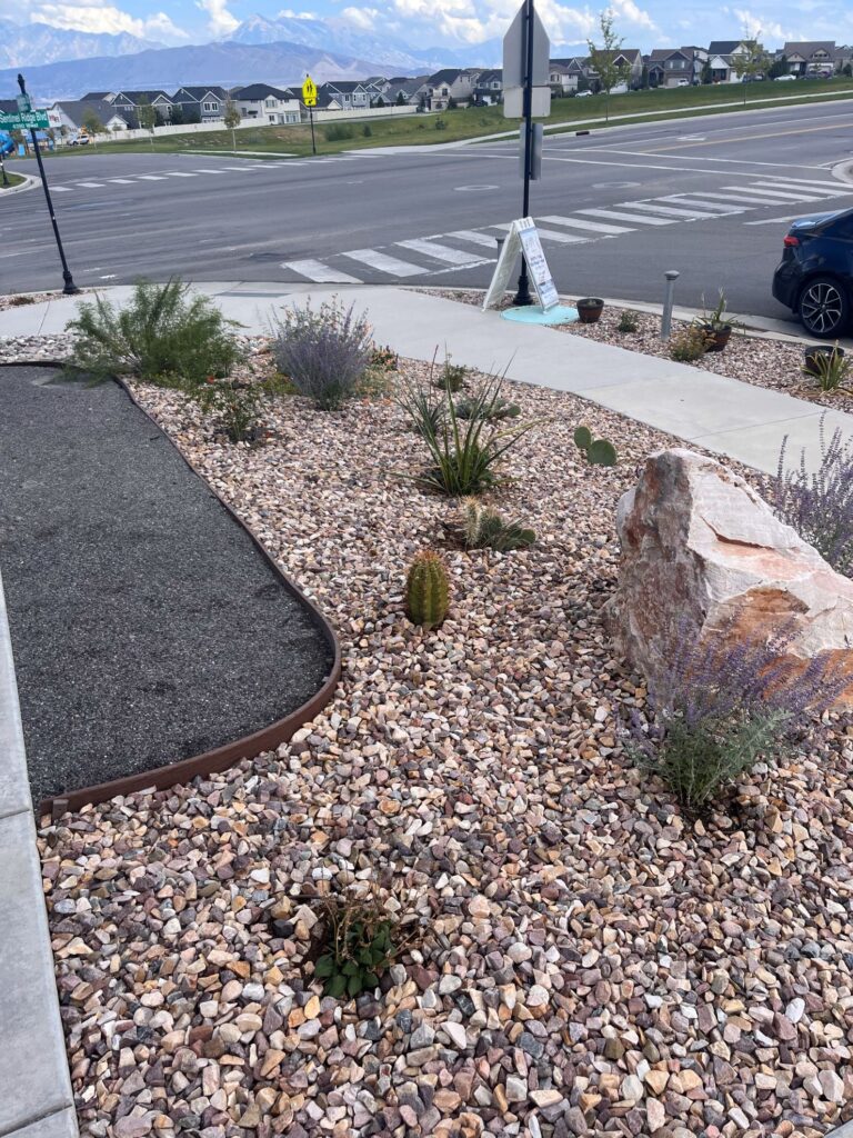 Front yard landscape with localscape principles including desert plants