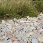 Baja Mexican Beach Pebble 2-4 inches on the ground